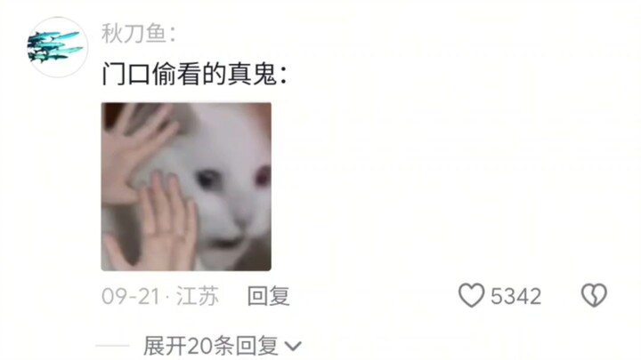“The young lady who interviewed yesterday was quite good.” HR: “We didn’t have any interviews yester
