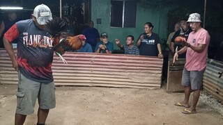 kalakas pumalo