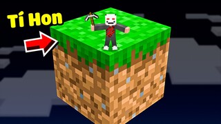 Minecraft nhưng Tôi Sống Trên 1 Block Khổng Lồ