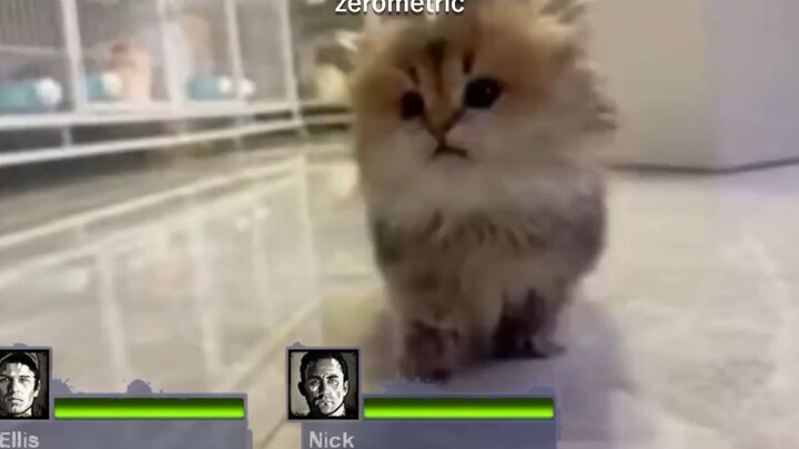 L4D2 x Your AI Teammate