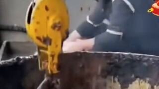 Các trang web nước ngoài đang bàn tán sôi nổi về công nghệ đen lột da đầu bò chỉ bằng một cú nhấp ch