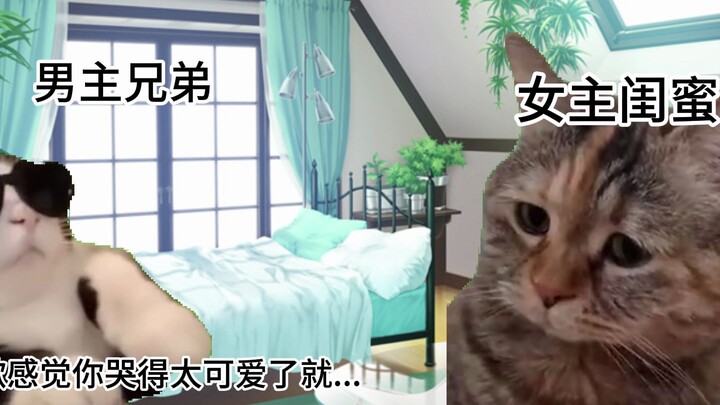 [Cat Meme] Some Myths About Romance Anime & My Post-Watch Thoughts