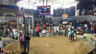 2 stag derby 2nd fight champion mayahin