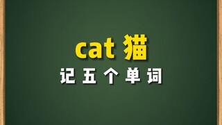 ใช้ "แมว" cat จดจำห้าคำศัพท์