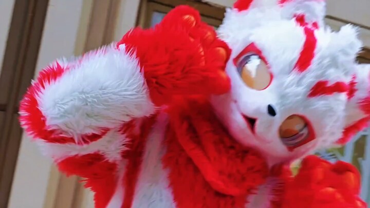 Furry yang menggemaskan berubah menjadi Ultraman yang gagah!