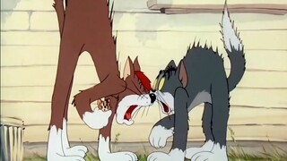 الأفلام الكلاسيكية هي الأفلام الكلاسيكية، لن تشعر بالملل أبدًا من مشاهدتها.