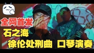 「布鲁斯口琴」全网首发！JOJO的奇妙口琴 石之海—徐伦处刑曲 口琴版