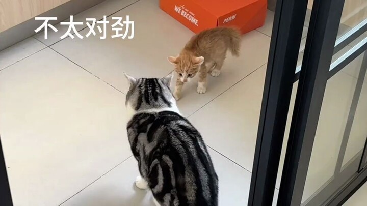 The First Meeting Between the Indigenous Person and the Second Child