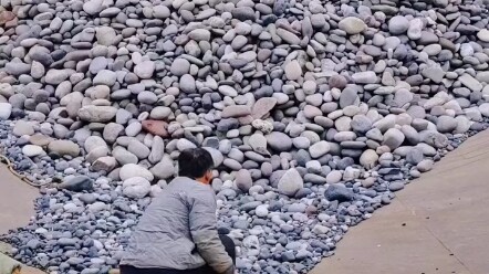 Tàu thuyền bốc dỡ hàng, cả quá trình đều rất thư giãn, phù hợp với những người mắc chứng ám ảnh cưỡn