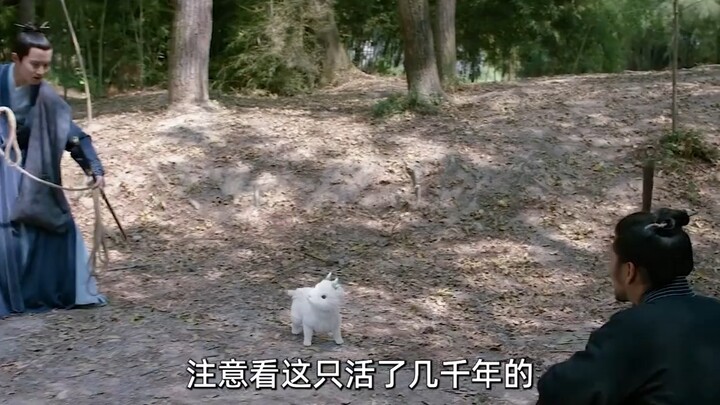 أراد الرجل أن يصطاد جروًا ويعيده إلى المنزل، لكنه فوجئ بأنه في الحقيقة مخلوق أسطوري قديم يُدعى وحش ب