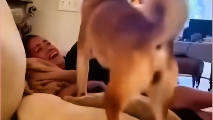 الحيوانات اللطيفة～