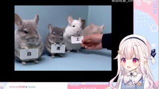 日本萝莉看《这几个小龙猫是自愿上班的吗？》笑麻了