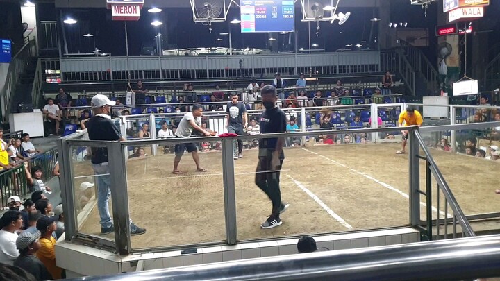 wpc national banded  semis zia and zion entry name ABBA21 GF