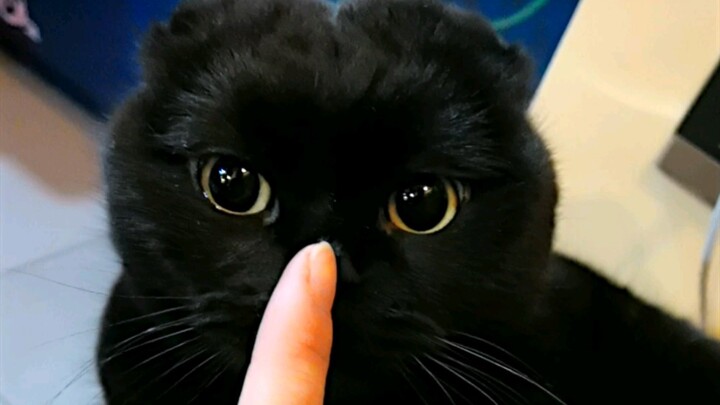 ที่จริงแล้วแค่จัดห้องให้ตัวเอง แต่เผลอๆ กลายเป็นพ่อบ้านซะงั้น! 5555