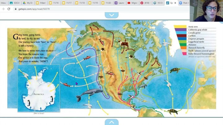Migration with Tr. Lauren.