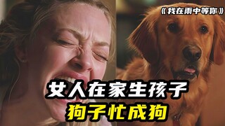 你的狗狗离世后，也许会转世成人，再次出现在你的面前！