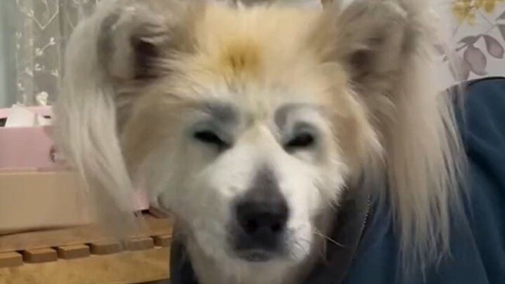 "How cute! Hold it farther away!"