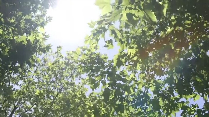 can't hide it secretly HL (ep8)