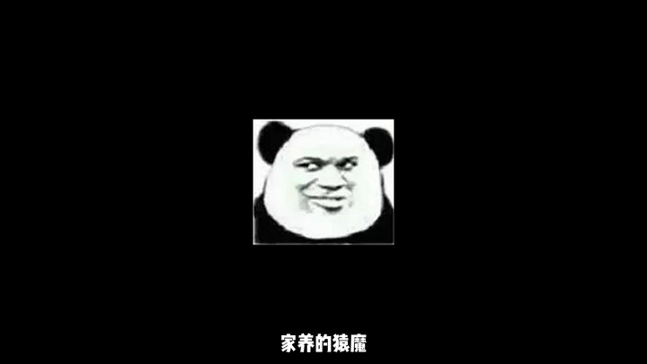 忍者的时代即将结束
