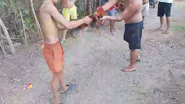 ground fighters