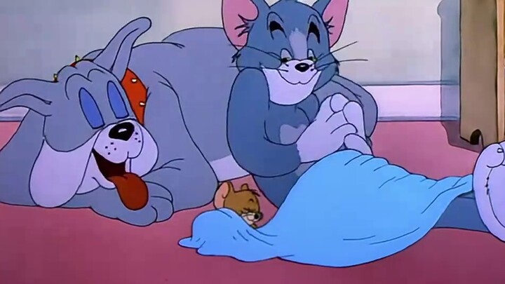 Do you understand the real story behind "Tom and Jerry"?