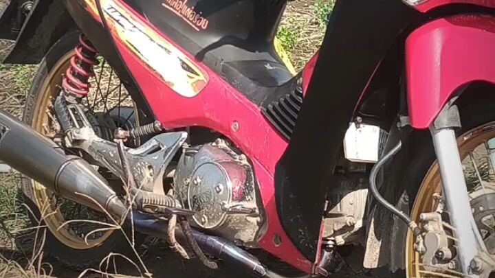 125เข้าไร่ผัก