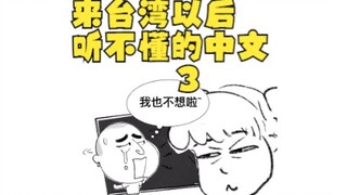 Saya tidak mengerti bahasa Mandarin setelah datang ke Taiwan 3