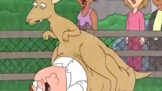 แม้แต่คนที่ดูยังบอกว่าพวกเขานิสัยไม่ดี [Family Guy]