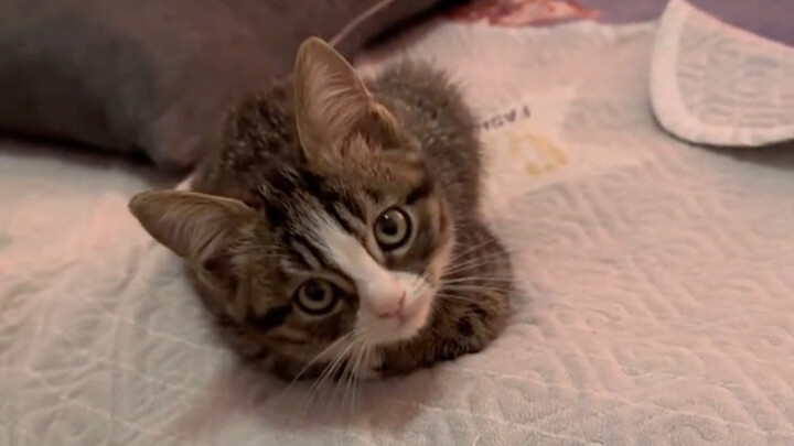 Hóa ra cậu là một chàng trai trầm tính.