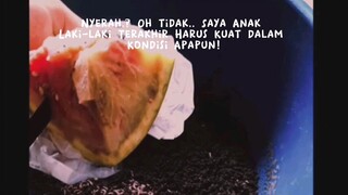 Prank maggot makan semangka