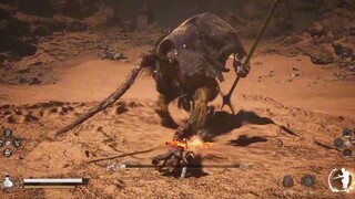 In the second round, I only used the stick, just to do this