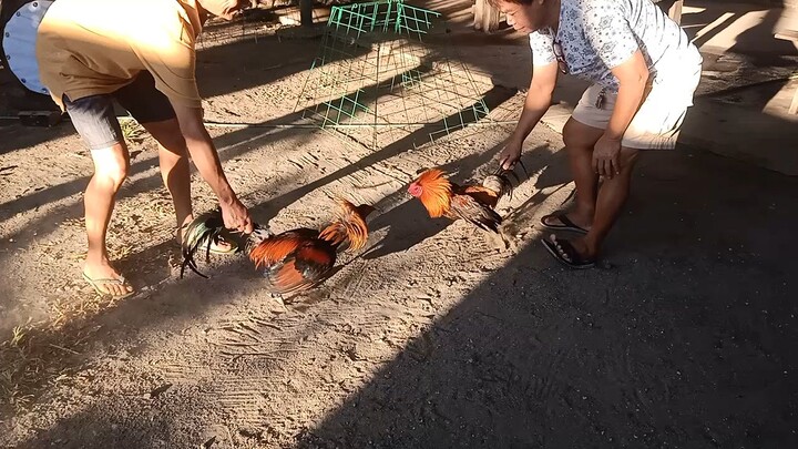 lapit laban nila