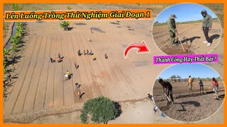 Quanglinhvlogs || Tiến Hành Lên Luống Trồng Thử Nghiệm Giai Đoạn 1 Tại Quang Linh Farm