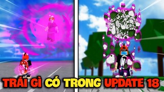 Bí Ẩn SS2 #3 TRÁI NÀO Sẽ Được Thêm Vào UPDATE TIẾP THEO?! | Blox Fruits