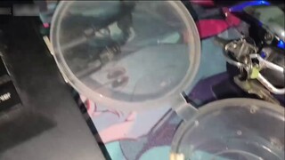 Kill the eye-spotted mantis quickly! What level is the undetermined giant helmeted earwig among earw