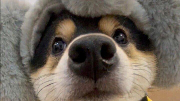 Mạn Ngọc: Người này có sao không vậy?