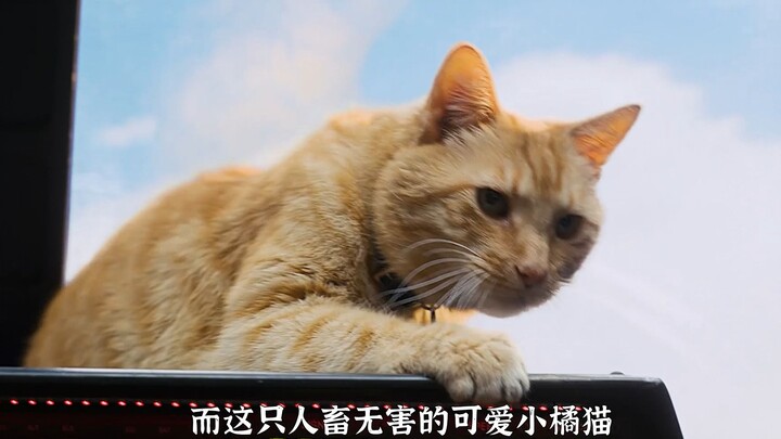 สิ่งที่ห้ามแตะต้องเด็ดขาดในจักรวาลมาร์เวล—กุ๊กกูคือความเจ็บปวดที่ผู้อำนวยการไม่มีวันลืมไปตลอดชีวิต