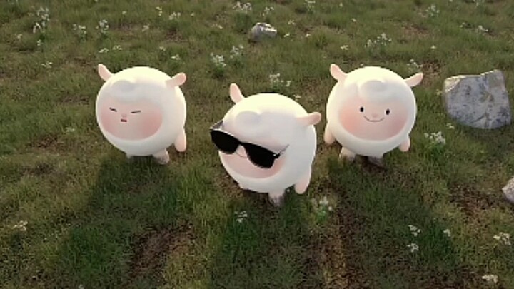 We are a group of little sheep~