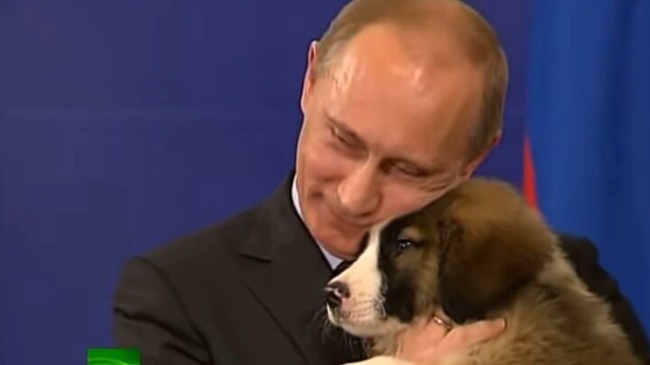 The dogs that Putin received over the years