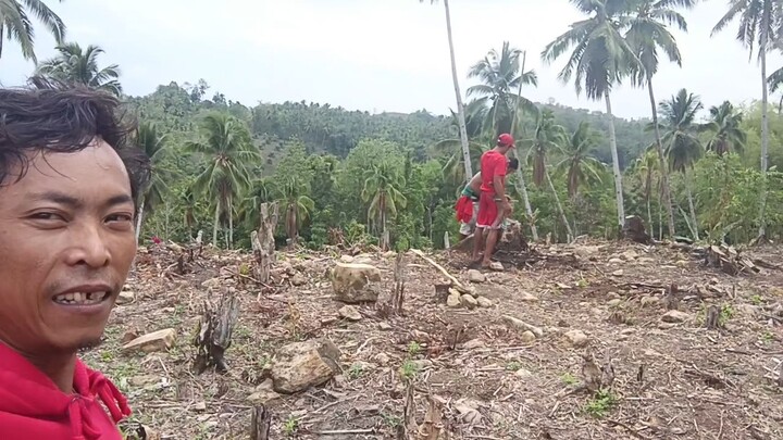 shembrador de palay