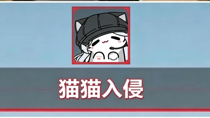 น้องแมวกำลังจะบรรลุธรรมแล้วเมี๊ยว～