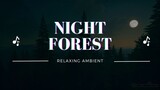 Night-Time Forest In Moonlight |  Night Forest Ambient Sound