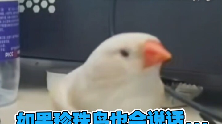 拔 剑 四 顾 心 茫 然