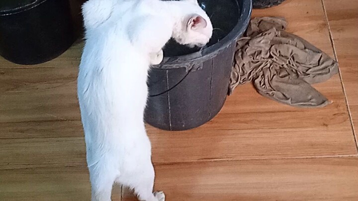 kinawkaw talaga ang tubig hahaha