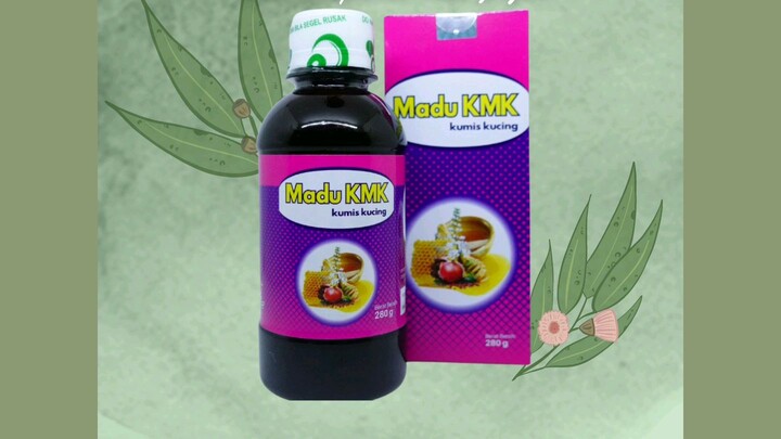 Obat Herbal Setelah Operasi Batu Ginjal