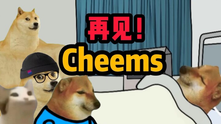 Cheems, goodbye!