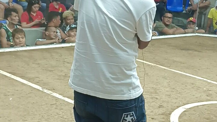 2hits ulotan hatch grey win dmca.