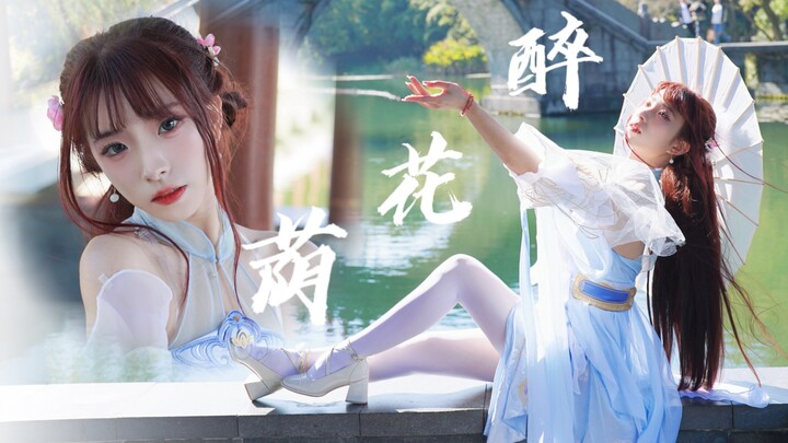 【Thiên Anh】Hãy để Ziping chữa lành trái tim bạn~