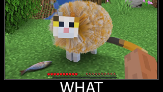 Minecraft รออะไร meme part 59 minecraft cat ที่เหมือนจริง