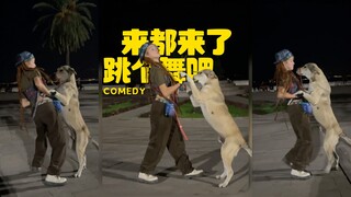 既然来都来了，那就跳个舞吧‼️